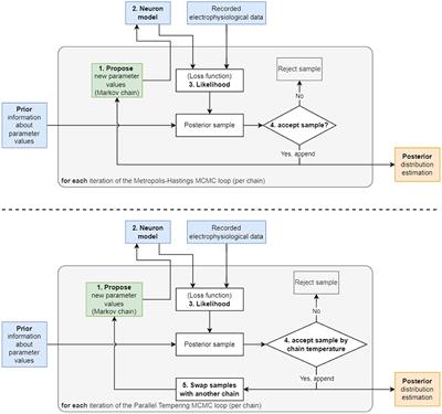 Multimodal parameter spaces of a complex multi-channel neuron model